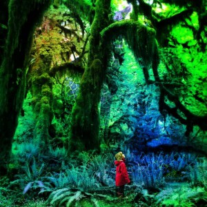 cover-jaccogardner-cabinetofcuriosities